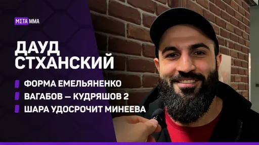 «Шара досрочно победит Минеева». Стханский – о форме Емельяненко, гонораре Исмаилова и RCC Hard