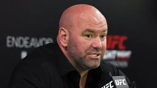 UFC снимет комедию с Адамом Сэндлером и выпустит документальный фильм в конце года
