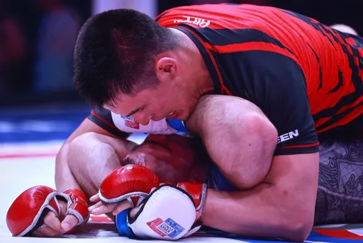 Определились победители и призеры чемпионата России по MMA