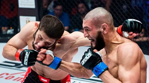 Исмаилов считает, что Алискерову в UFC хотят устроить реванш с Чимаевым