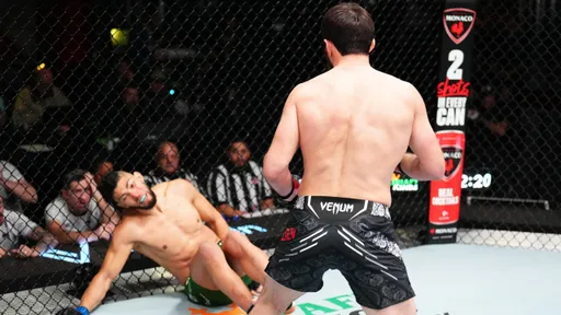 Анкалаев заработал больше всех, но меньше миллиона: гонорары турнира UFC Fight Night 234