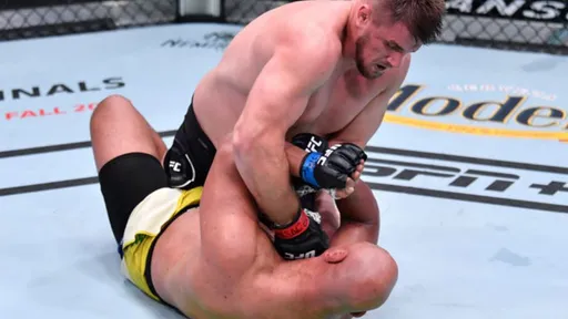 Романов объяснил, почему в тяжёлом весе UFC доминируют ударники