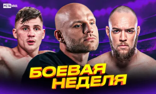 Дэвис нокаутировал Беринчика, долги Hardcore свыше 30 млн рублей, успехи Садыхова и Уокера в UFC