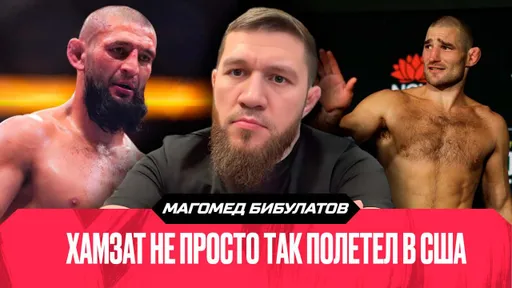 «Хочу увидеть, как Чимаев унижает Стрикленда, бой с Прохазкой – фейк». Интервью Бибулатова