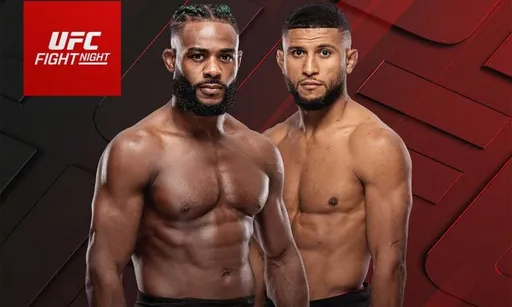 Алджамейн Стерлинг – Юссеф Залал: прогноз на бой UFC 26 апреля 2026 года