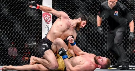 Шамиль Гамзатов сравнил Магомеда Анкалаева с Федором Емельяненко