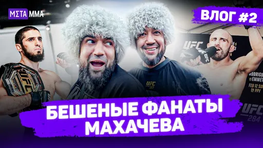 Махачев vs Волкановски — ФАНАТЫ ИСЛАМА и СУМАСШЕДШАЯ атмосфера на ОТКРЫТОЙ ТРЕНИРОВКЕ | Влог UFC 284