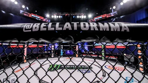 Журналист Хельвани: ходят слухи, что Bellator выставлен на продажу