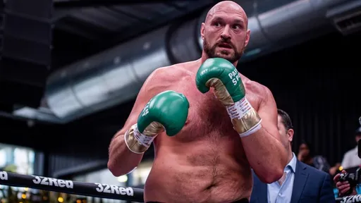 Фьюри поручил промоутерам сообщить WBC, что он продолжит карьеру