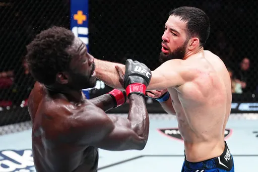 Судья UFC отреагировал на критику за остановку боя Имавов – Каннонье