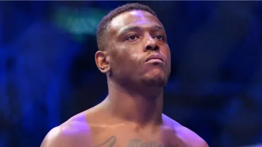 Хилл – о поражении от Перейры на UFC 300: он меня подловил