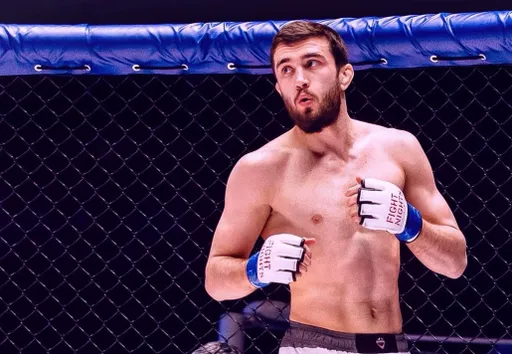 Бывший чемпион Fight Nights Эминов завершил карьеру после поражения Гапизову на «Наше Дело 86»
