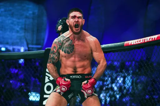 Эблин получил сильное рассечение в бою с Эдвардсом на турнире Bellator 299