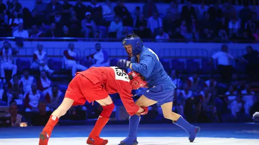 Самбисты из Подмосковья выиграли три медали на чемпионате России по самбо