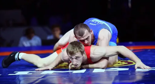 Борец греко-римского стиля Гонибов завоевал бронзу на чемпионате мира в Сербии