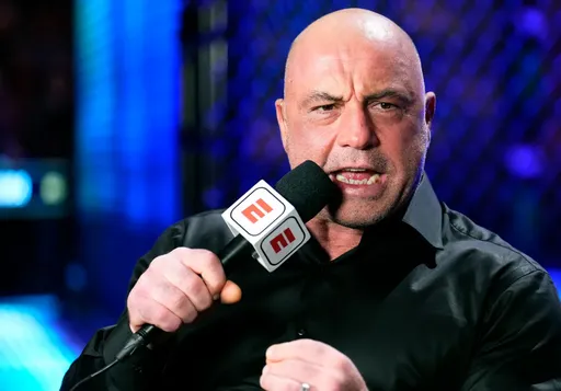 Комментатор UFC Роган: у российских бойцов самые сложные имена