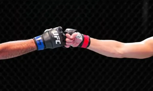 UFC возобновляет переговоры о внедрении новых перчаток, которые давно продвигает Джо Роган