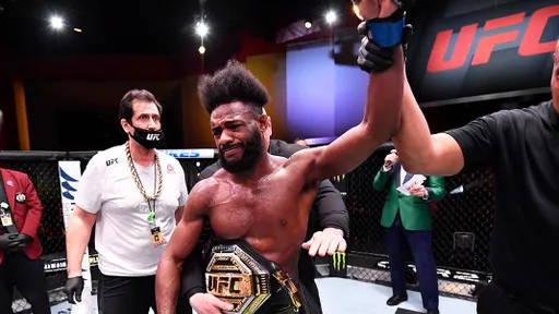 Соннен: я никогда не видел более неуважаемого чемпиона UFC, чем Стерлинг