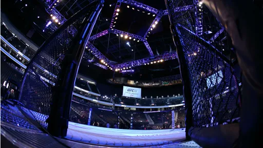 Инсайдер: доходы UFC за 2021 год превысили один миллиард долларов