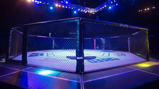 Турнир UFC в Саудовской Аравии откладывается до июня