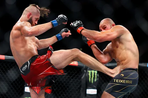 Судья UFC Марк Годдард объяснил легкие постукивания Прохазки по Тейшейре