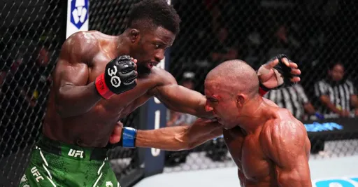 Названы обладатели бонусов турнира UFC Fight Night 230
