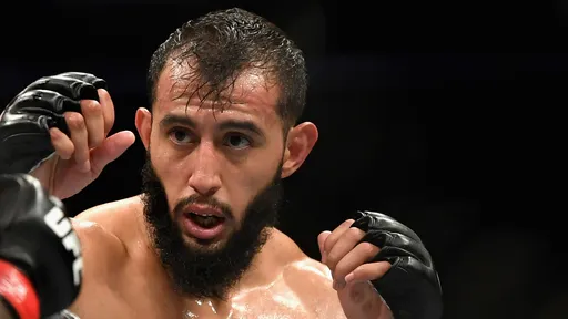Поединок Рейеса и Ульберга на турнире UFC 297 отменен