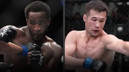 Поединок турнира UFC Fight Night 217 Рахманов – Нил отменен