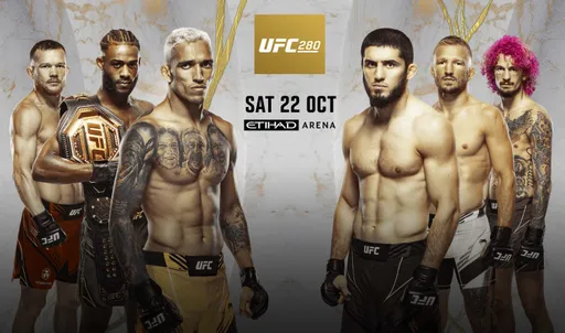 Главный турнир года в UFC, бой Исмаилов – Илич и возвращение Ломаченко. Главные поединки октября