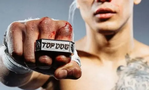 Турнир по кулачным боям Top Dog 41 состоится 7 февраля в Новосибирске