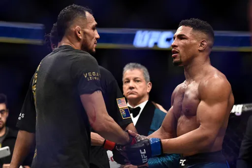Второй бой Фергюсона и Ли может пройти на UFC 290 в июле