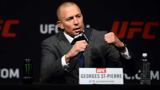 Экс-чемпион UFC Сен-Пьер сравнил навыки Хабиба и Махачева