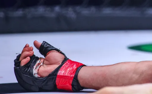 В Сургуте оштрафовали организатора турнира по MMA из-за потасовки зрителей