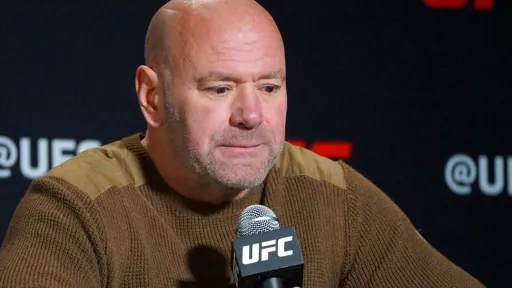 Дана Уайт заявил, что два боя пополнят кард турнира UFC 300