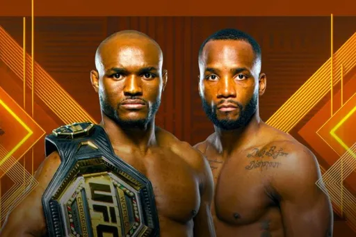 Кард участников на UFC 278: состав бойцов, какие бои пройдут на турнире, где смотреть