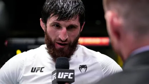 Гаджиев: если UFC не даст Анкалаеву титульный бой, это будет странно и вызовет много вопросов