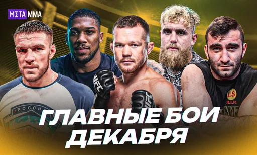 Чемпионские бои Немкова и Яна и боксерский поединок Джошуа – Пол: что смотреть в декабре
