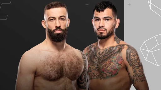 Прямая трансляция боя Долидзе – Эрнандес на турнире UFC Vegas 109