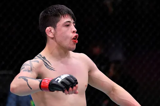 Где смотреть UFC 277 31 июля: прямая трансляция турнира, бой Нуньес – Пенья, Кара-Франс – Морено