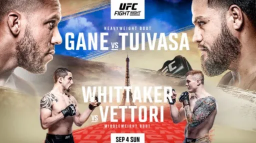 Результаты турнира UFC Paris: Ган – Туиваса