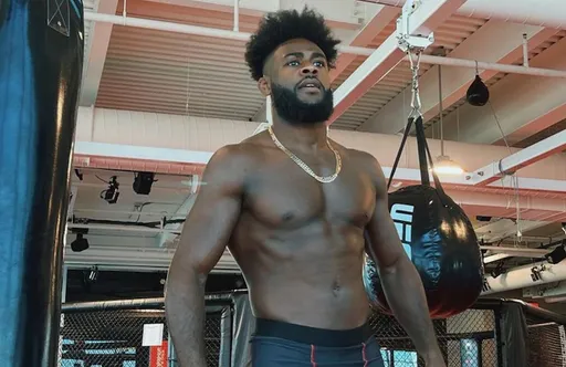 Стерлинг оценил перспективы Никала в UFC