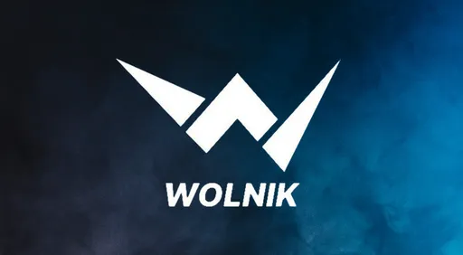 Прямая трансляция турнира Wolnik 13
