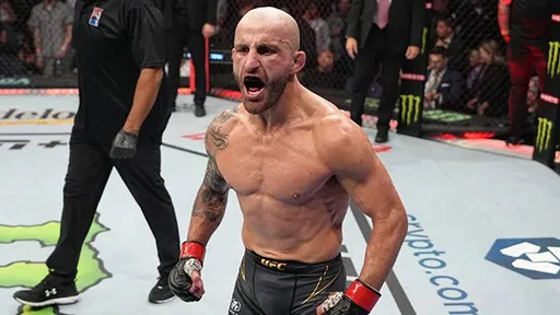 Обновленные рейтинги UFC: Волкановски – первый номер P4P, дю Плесси занял первую строчку средневесов