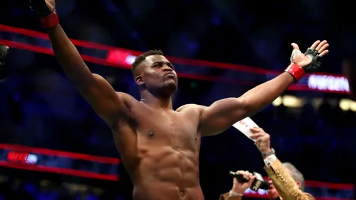 Нганну назвал главную проблему контрактов UFC