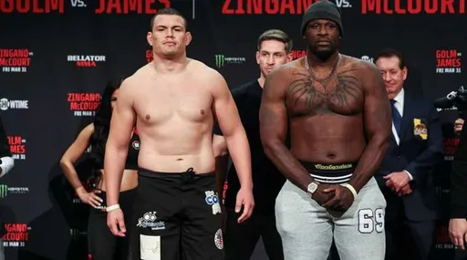 Джеймс нокаутировал Голма в главном бою турнира Bellator 293
