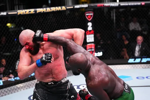 Результаты турнира UFC Vegas 87: Розенстрайк победил Газиева
