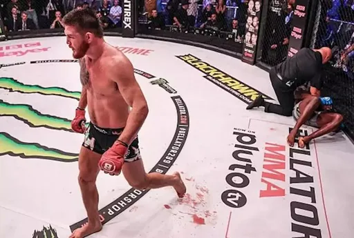 Чемпион Bellator Эблин объяснил потасовку с чемпионом UFC Эдвардсом на турнире в Дублине