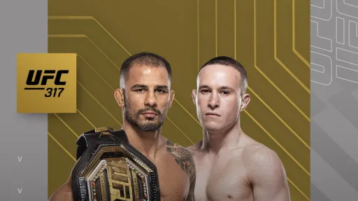 Время начала боя Пантожа – Кара-Франс на UFC 317