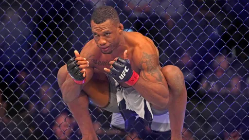Алмейда бросил вызов временному чемпиону UFC Аспиналлу