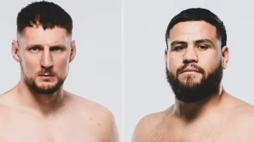 UFC официально анонсировал бой Волкова против Туивасы на UFC 293